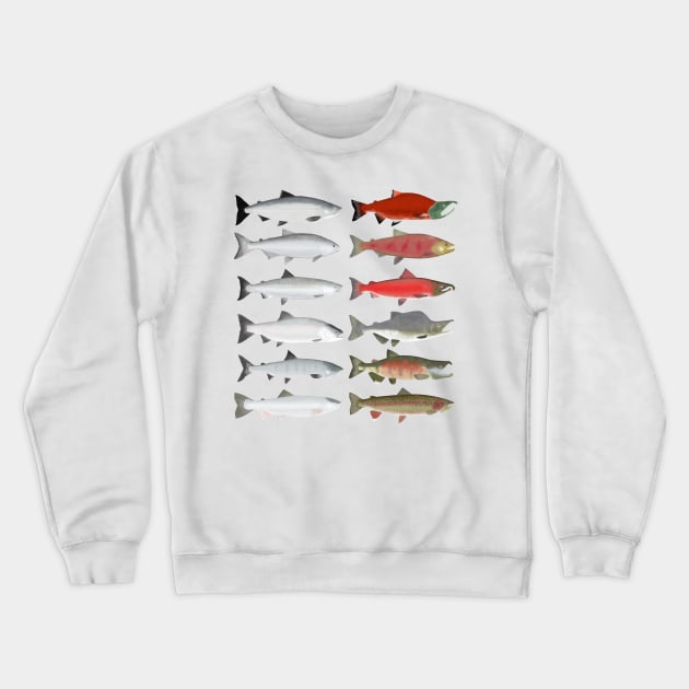 Pacific Ocean Salmon - Ocean and Spawn Stages Crewneck Sweatshirt by FishFolkArt